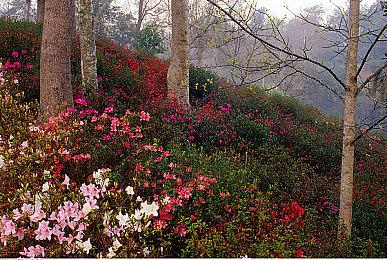 《羊蹄山之魂》新预告公布 女主的猎杀开始了